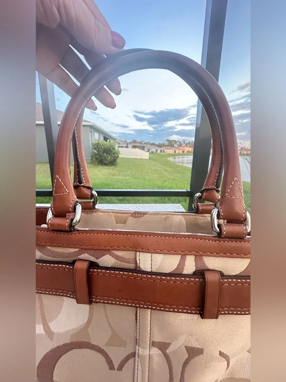 Coach Hamptons Optic Signature Stripe Carryall F13337, Brown and Cream